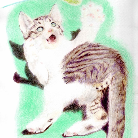 ペット似顔絵(サンプル)