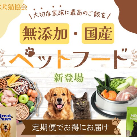 ペットフードバナー