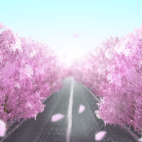 桜が舞う道路のイラスト