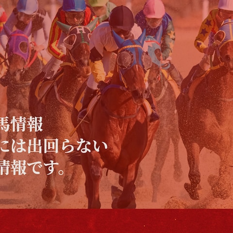 競馬情報システム開発