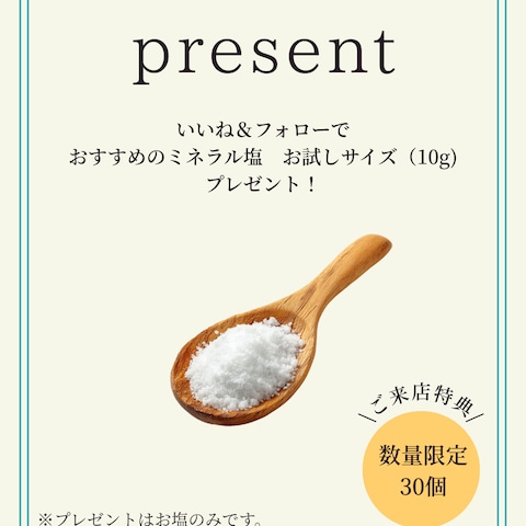 自然食品店向け　制作イメージ