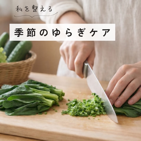 自然食品店向け　制作イメージ