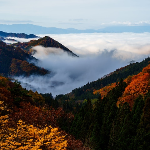 田舎の素敵な景色