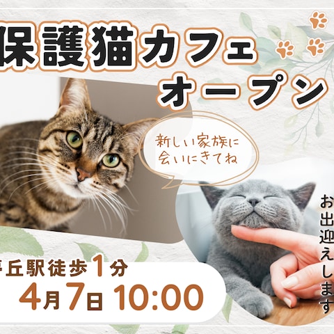 保護猫カフェのオープン告知