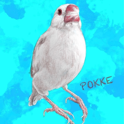 文鳥の似顔絵