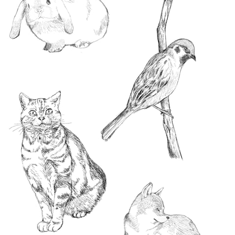 動物スケッチ