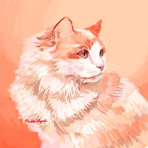 うちの子