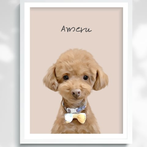 ameruさん＊