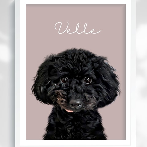 Velleさん＊