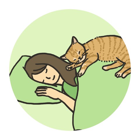 猫と一緒に寝ているアイコン