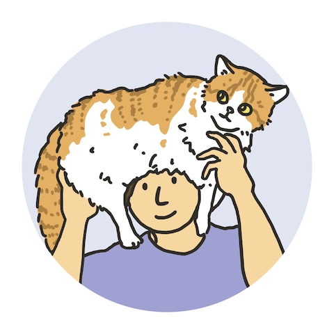 猫を頭に乗せたアイコン