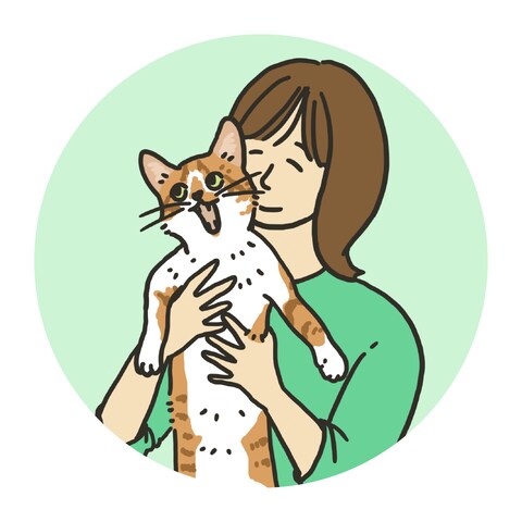 猫を後ろから抱っこしているアイコン