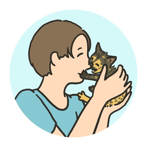 子猫が鼻を噛んでいるアイコン