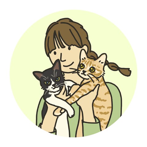 2匹の猫を抱っこしているアイコン