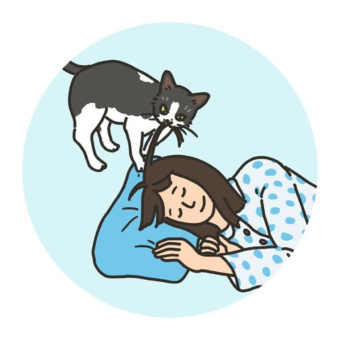 寝ている飼い主と髪を引っ張る猫のアイコン