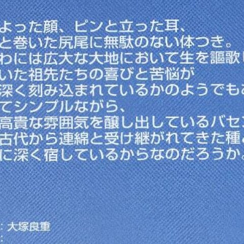 犬専門雑誌『DOG Days』（海苑社）