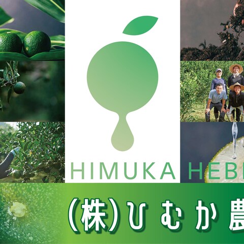 入り口看板