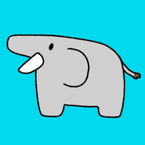 ゾウ