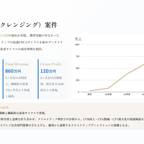 単品通販（クレンジング）案件実績