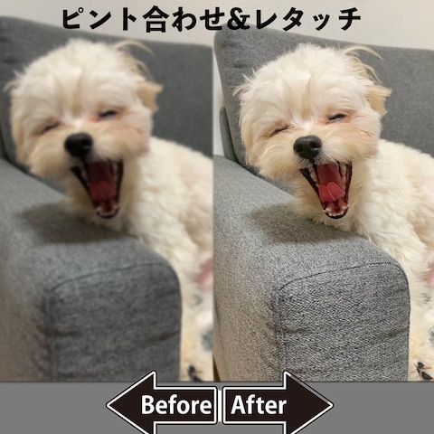 ピント合わせとレタッチ