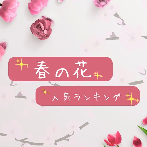 春の花人気ランキング