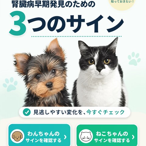 ペット広告バナー