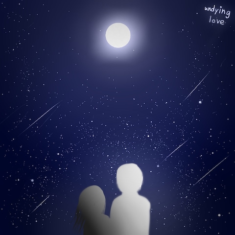 星夜の出会い