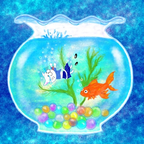 涙の金魚鉢