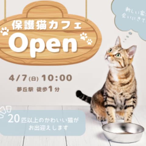 保護猫カフェ バナー