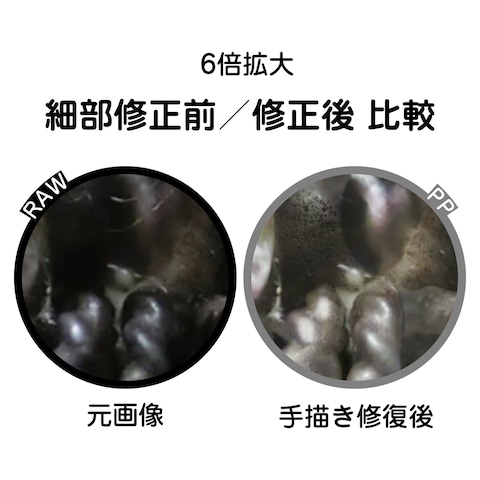 極細構造の6倍拡大補正表示