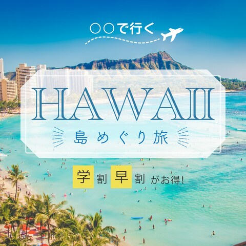旅行会社のハワイ旅行のバナーを想定。