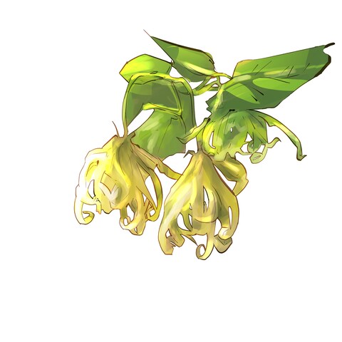 香りのイメージイラスト