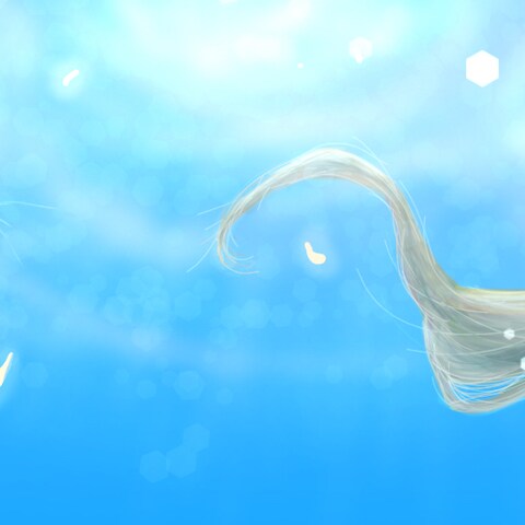 Xのヘッダーイラスト