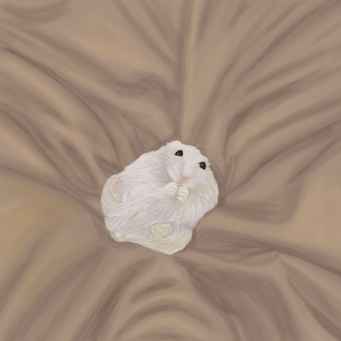 動物のイラスト製作