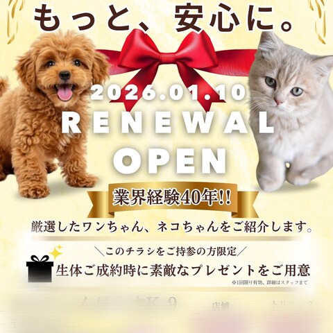 ペットショップのポスティング用チラシデザイン