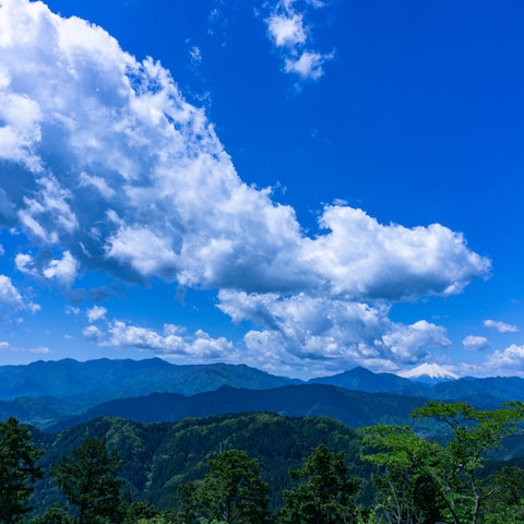 高尾山・山頂からの風景