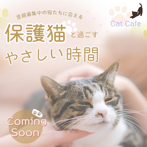 保護猫カフェバナー