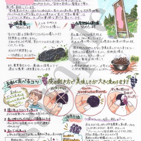 お客様配布用チラシ