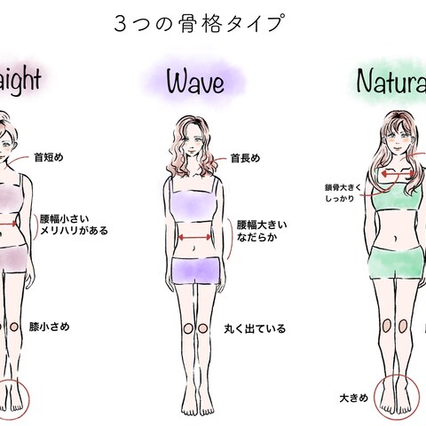 骨格タイプ
