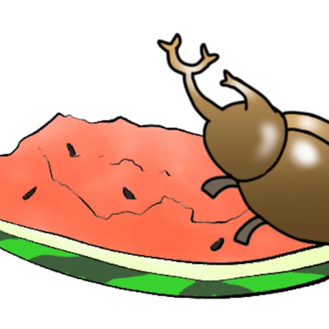 スイカを食べるカブトムシのイラスト