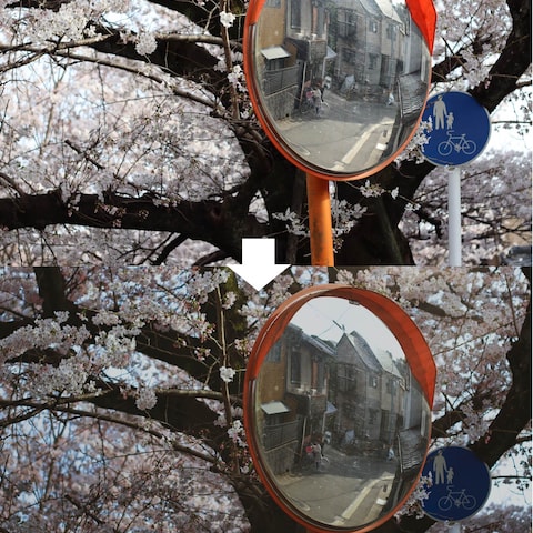 桜と鏡