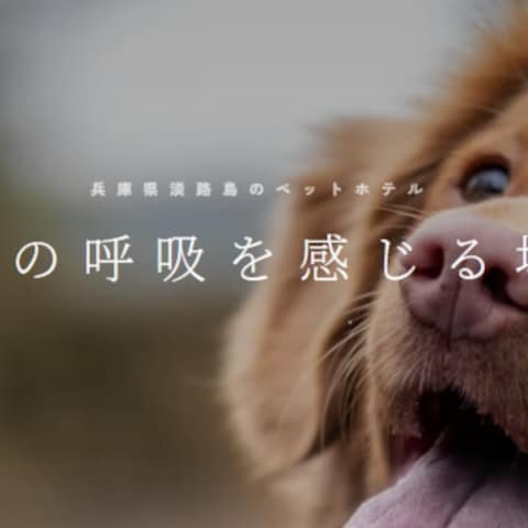 ペットホテル　HP作成　予約管理機能付き