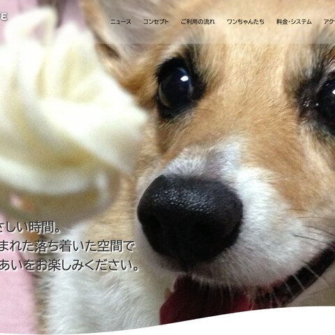 犬カフェ(オリジナルサイト)