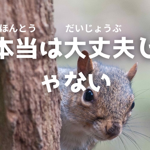 プロフィール９