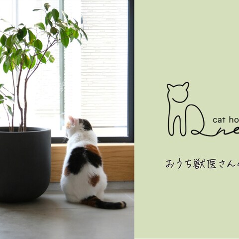 ショップカード｜ねこ専門ホテル制作