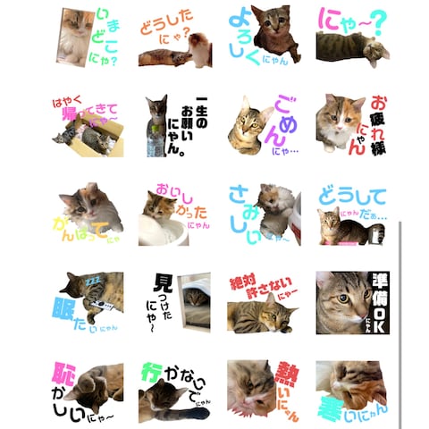 ペットや人物の写真を使ったLINEスタンプ作成
