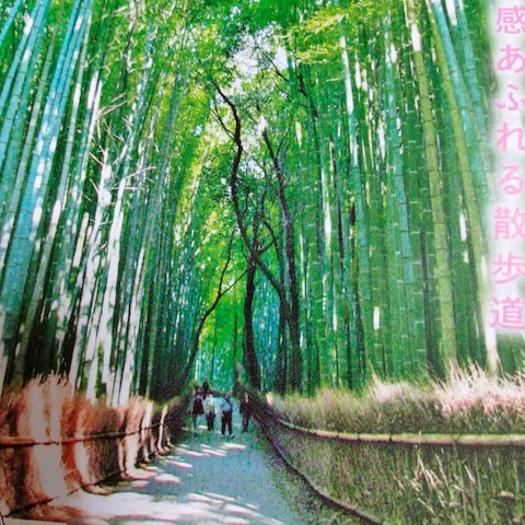 1000年前の源氏物語や平家物語の京都ゆかりの地を訪ねます