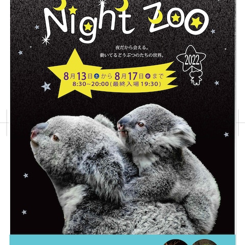 動物園[night Zoo]案内チラシ