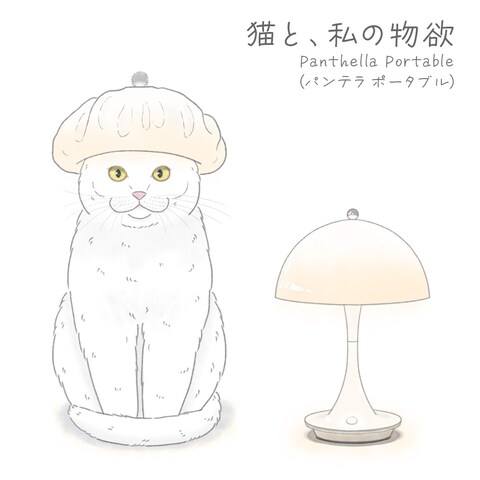 猫と、私の