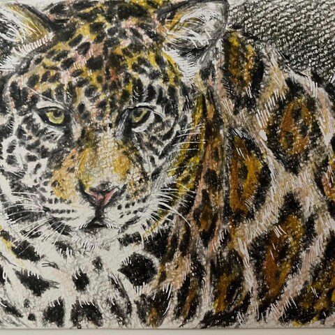 ジャガー